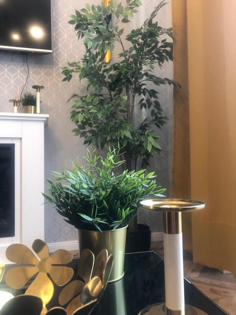 Apartament Glamorous Old Town Cracow Kraków